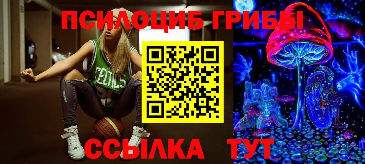Псилоцибиновые грибы Cubensis Ирбит